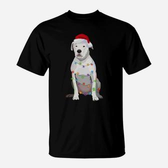 Dogo Argentino Christmas Lights Xmas Dog Lover T-Shirt | Crazezy AU