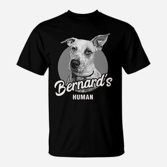 Funny Bernard's Human Cute Dog Lover's Pet T-Shirt | Crazezy