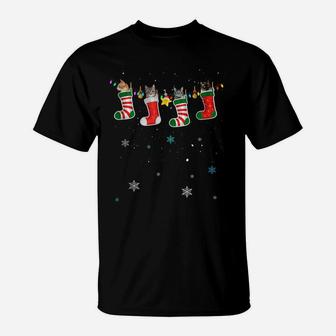 Funny Cats In Socks Christmas Cat Lovers Xmas Sweater T-Shirt | Crazezy UK