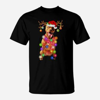 Funny Pitbull Santa Hat Xmas Lights Dog T-Shirt - Monsterry DE