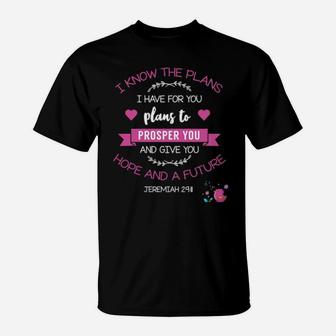 God's Plan To Prosper And Bless You Christian T-Shirt - Monsterry CA