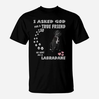 Great Dane Lab Mix Dog Quote Mom Dad Costume, Cute Labradane T-Shirt | Crazezy