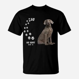 Grey Hunting Dog Quote Mom Weim Dad Costume, Cute Weimaraner T-Shirt | Crazezy UK