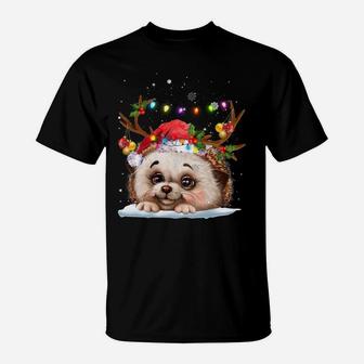 Hedgehogs Reindeer Xmas Lighsts Christmas Ornaments Xmas Sweatshirt T-Shirt | Crazezy