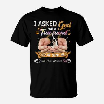 I Asked God For A Ture Friend So He Sent Me Greater Swiss Mountain Dog Sweater T-Shirt - Monsterry CA