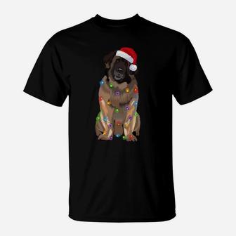 Leonberger Christmas Lights Xmas Dog Lover Santa Hat Sweatshirt T-Shirt | Crazezy UK