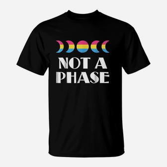 My Sexuality Is Not A Phase T-Shirt | Crazezy