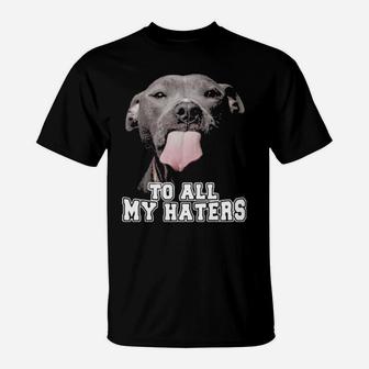 Pitbull To All My Haters T-Shirt - Monsterry UK