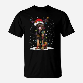 Rottweiler Christmas Tree Light Pajama Dog Lover Xmas Gift Sweatshirt T-Shirt | Crazezy
