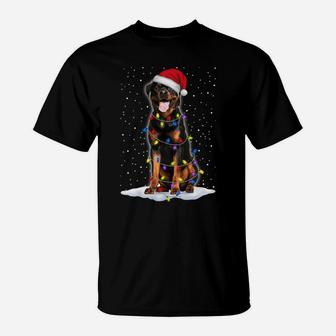 Rottweiler Santa Christmas Tree Lights Xmas Gifts T-Shirt | Crazezy