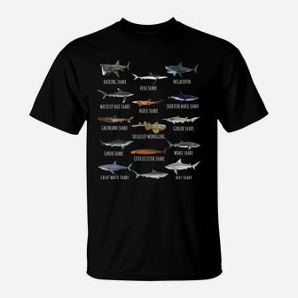 Shark Species Biology Different Types Of Sharks Sweatshirt T-Shirt | Crazezy AU
