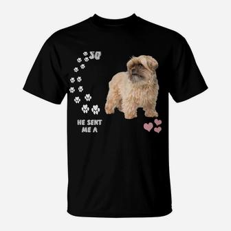 Shorkie Tzu Dog Mom, Yorkie Tzu Dad Costume, Cute Shorkie Sweatshirt T-Shirt | Crazezy UK