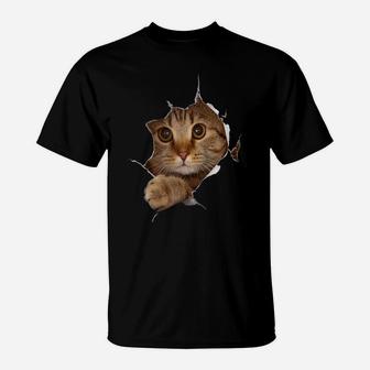 Sweet Kitten Torn Cloth - Funny Cat Lover Cat Owner Cat Lady Raglan Baseball Tee T-Shirt | Crazezy DE
