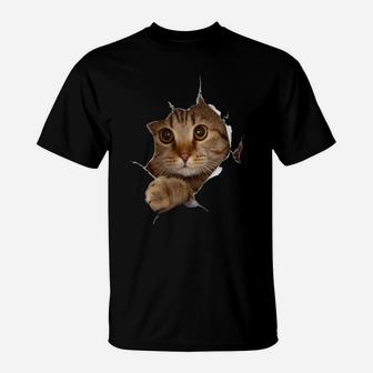 Sweet Kitten Torn Cloth - Funny Cat Lover Cat Owner Cat Lady Sweatshirt T-Shirt | Crazezy DE