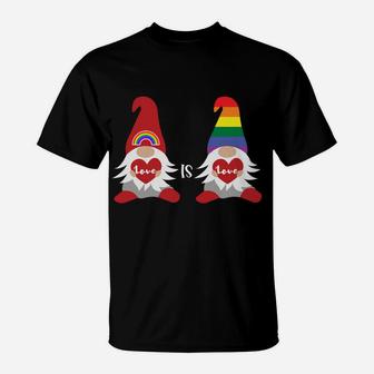 Valentine's Gay Pride Month Rainbow Gnome Gift Lgbqt Sweatshirt T-Shirt | Crazezy UK