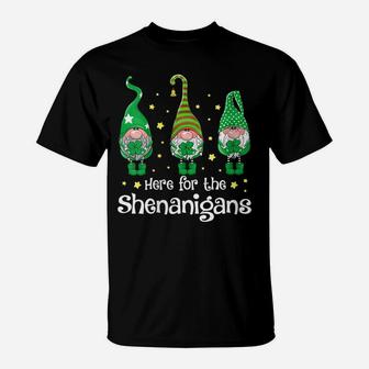Womens St Patricks Day Here For The Shenanigans Gnome Shamrock Gift T-Shirt | Crazezy