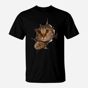 Womens Sweet Kitten Torn Cloth - Funny Cat Lover Cat Owner Cat Lady T-Shirt | Crazezy DE