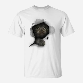 Cat Shirt, Gray Cat Tshirt, Cat Torn Cloth Shirt, Kitten T-Shirt | Crazezy CA
