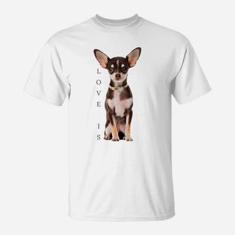 Chihuahua Shirt Dog Mom Dad Tee Love Pet Puppy Chiuauaha T Sweatshirt T-Shirt | Crazezy