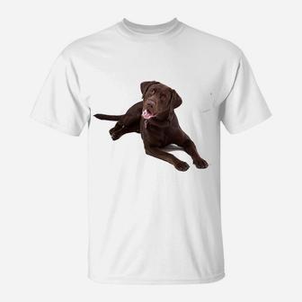 Chocolate Labrador T-Shirt | Crazezy