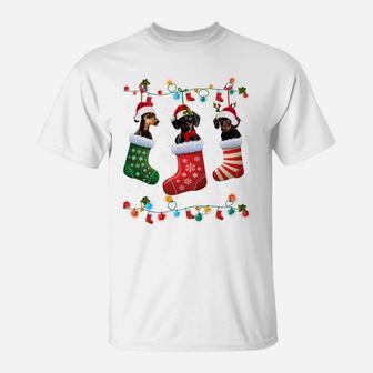 Dachshund Christmas Socks Funny Xmas Pajama Dog Lover Gift Sweatshirt T-Shirt | Crazezy