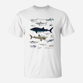 Favorite Sharks Of The World Science T-Shirt | Crazezy CA