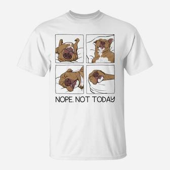 Funny Lazy Pitbull Not Today World Lazy Day Pitbull Lovers Sweatshirt T-Shirt | Crazezy UK