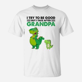 Kids I Try To Be Good But I Take After My Grandpa Dinosaur T-Shirt | Crazezy CA