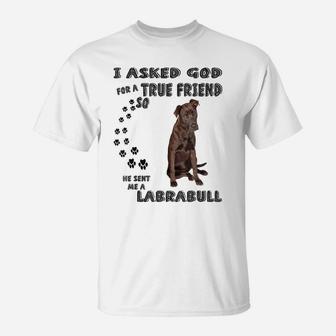 Labrabull Saying Mom Dad Costume, Cute Pitbull Lab Mix Dog T-Shirt | Crazezy
