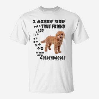 Mini Goldendoodle Quote Mom, Doodle Dad Art Cute Groodle Dog T-Shirt | Crazezy UK
