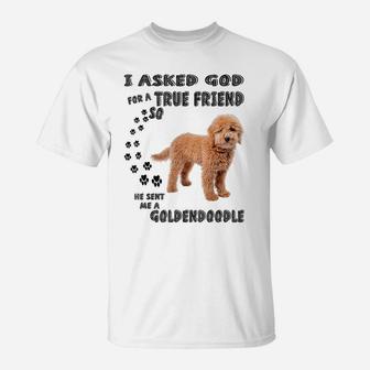 Mini Goldendoodle Quote Mom, Doodle Dad Art Cute Groodle Dog T-Shirt | Crazezy
