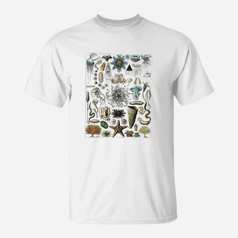 Oceanography Ocean Zoology Biologists Sailing T-Shirt | Crazezy