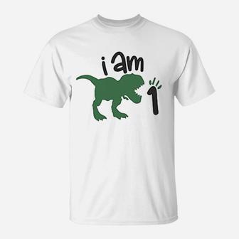 One Birthday Dinosaur For Boys First Birthday Dinosaur Outfit T-Shirt | Crazezy AU