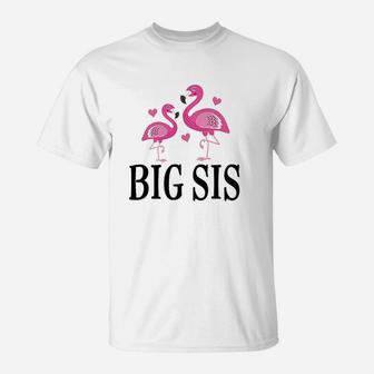 Sister Announcement Flamingo Sister T-Shirt | Crazezy AU