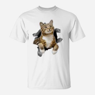 Sweet Kitten Torn Tee -Funny Cat Lover Cat Owner Cat Lady T-Shirt | Crazezy UK