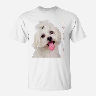 Womens Bichon Maltese Shirt Dog Mom Dad Puppy Bichon Frise Malta T-Shirt | Crazezy
