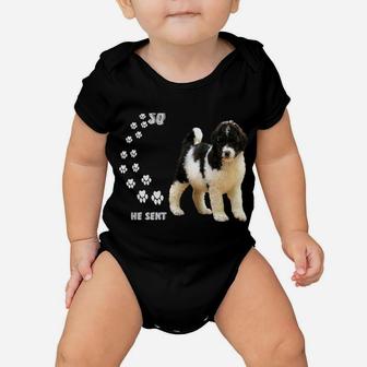 St Berpoo Dog Mom Dad Quote Costume, Cute Saint Berdoodle Baby Onesie | Crazezy DE