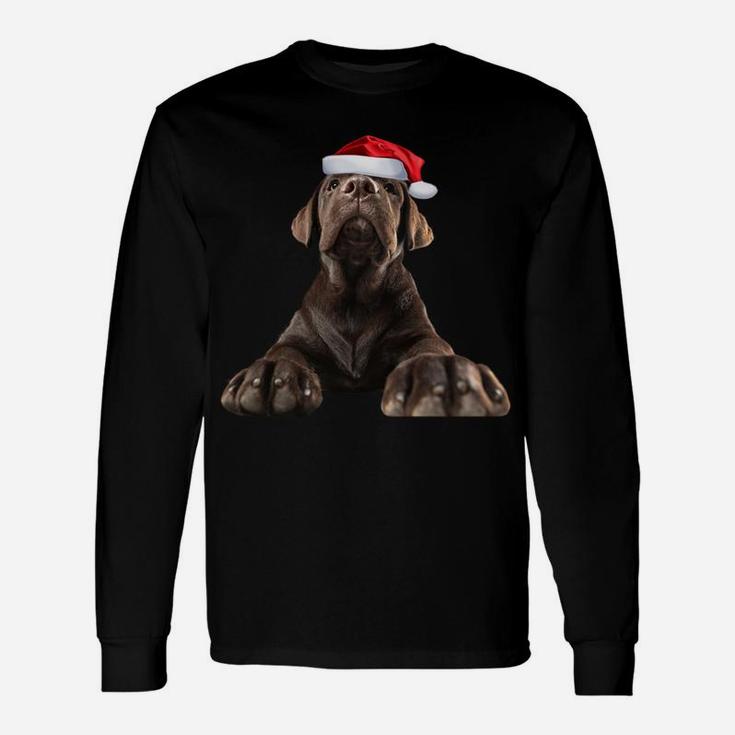 Chocolate Lab Puppy Dog Santa Hat Image Funny Christmas Gift Sweatshirt Unisex Long Sleeve
