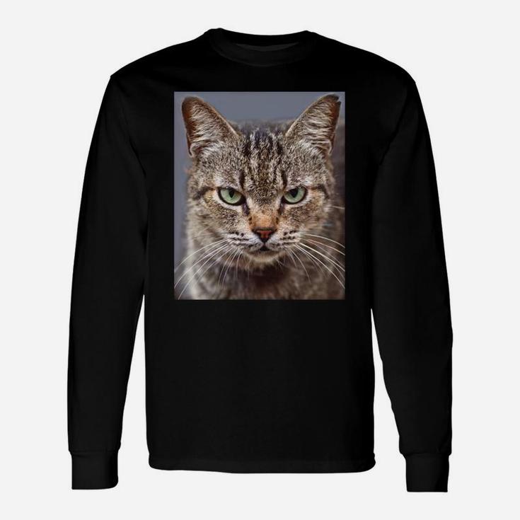Funny Tabby Cat Chocolate Lovers Sweatshirt Unisex Long Sleeve