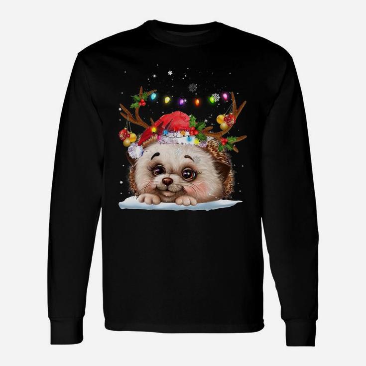 Hedgehogs Reindeer Xmas Lighsts Christmas Ornaments Xmas Sweatshirt Unisex Long Sleeve