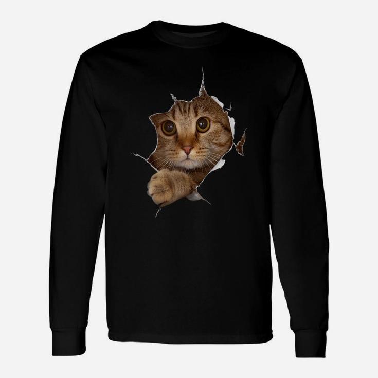 Sweet Kitten Torn Cloth - Funny Cat Lover Cat Owner Cat Lady Raglan Baseball Tee Unisex Long Sleeve
