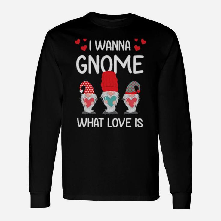 Valentine Humor His And Her I Want Gnome What Love Is Long Sleeve T-Shirt