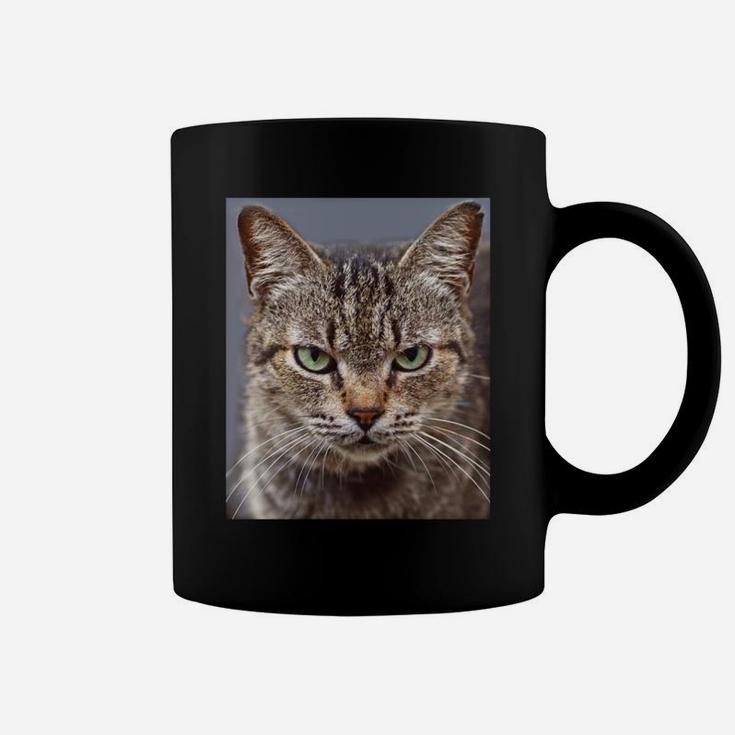 Funny Tabby Cat Chocolate Lovers Sweatshirt Coffee Mug