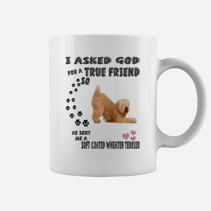 Soft Coated Wheaten Terrier Mom Dad Costume Cute Wheatie Dog Raglan Baseball Tee Coffee Mug