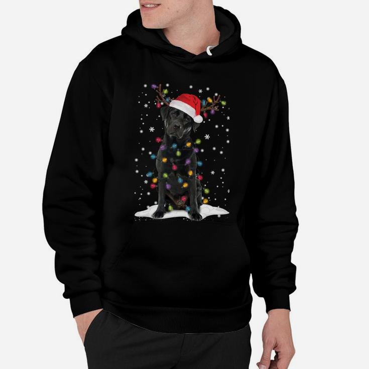 Black Lab Labrador Christmas Tree Light Pajama Dog Xmas Gift Sweatshirt Hoodie