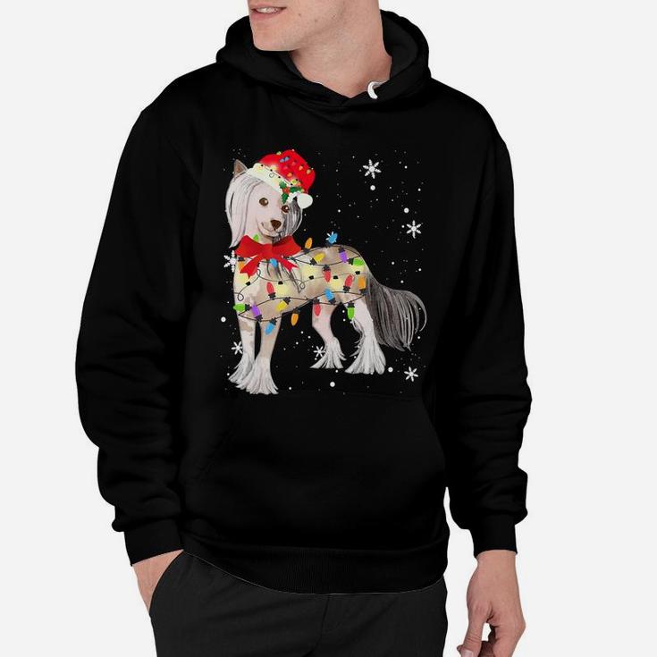 Chinese Crested Dog Christmas Light Xmas Mom Dad Gifts Hoodie
