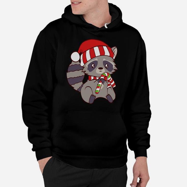 Cute Christmas Raccoon Candy Cane Tees Sweatshirt Hoodie