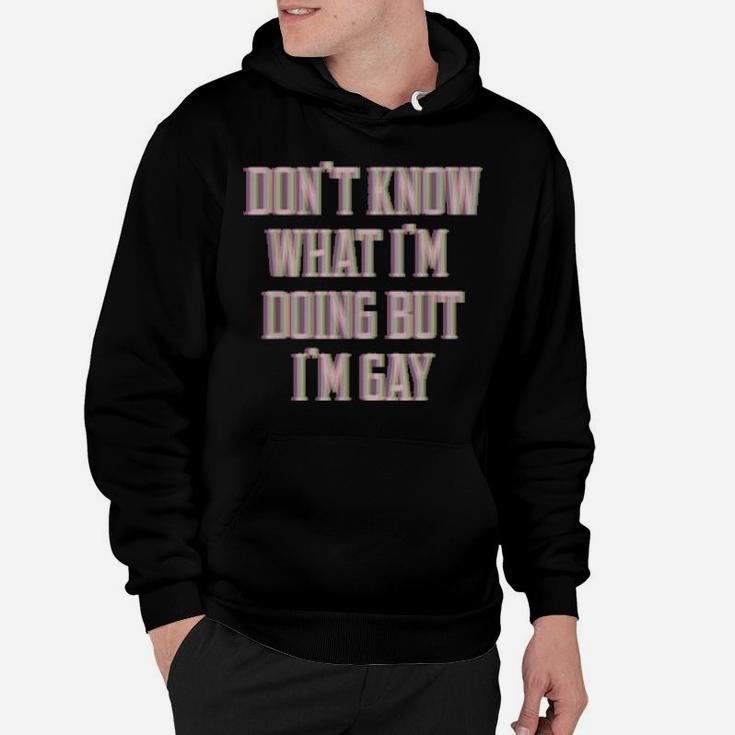 Don't Know What I'm Doing But I'm Gay Hoodie