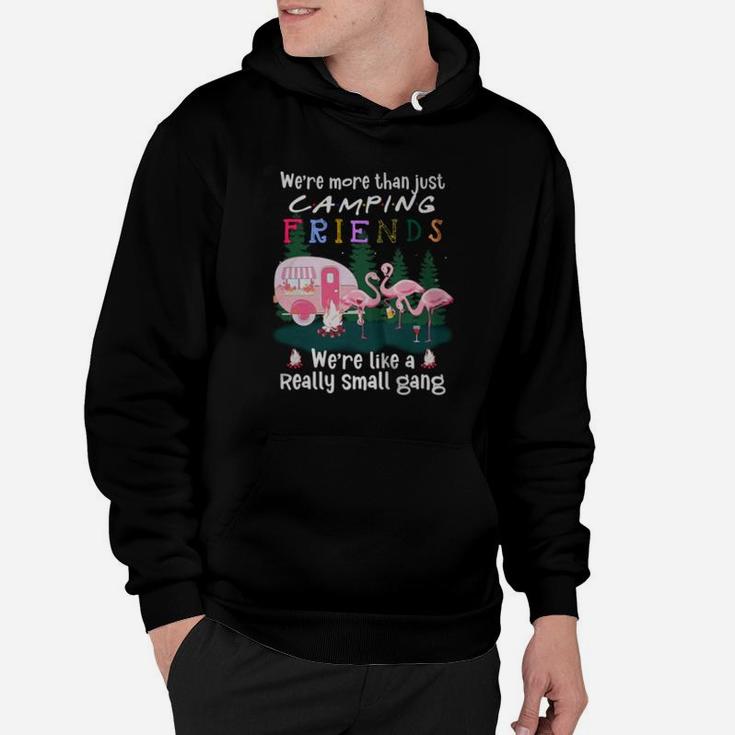 Flamingos We Are More Than Just Camping Friends We Are Like A Really Small Gang Hoodie