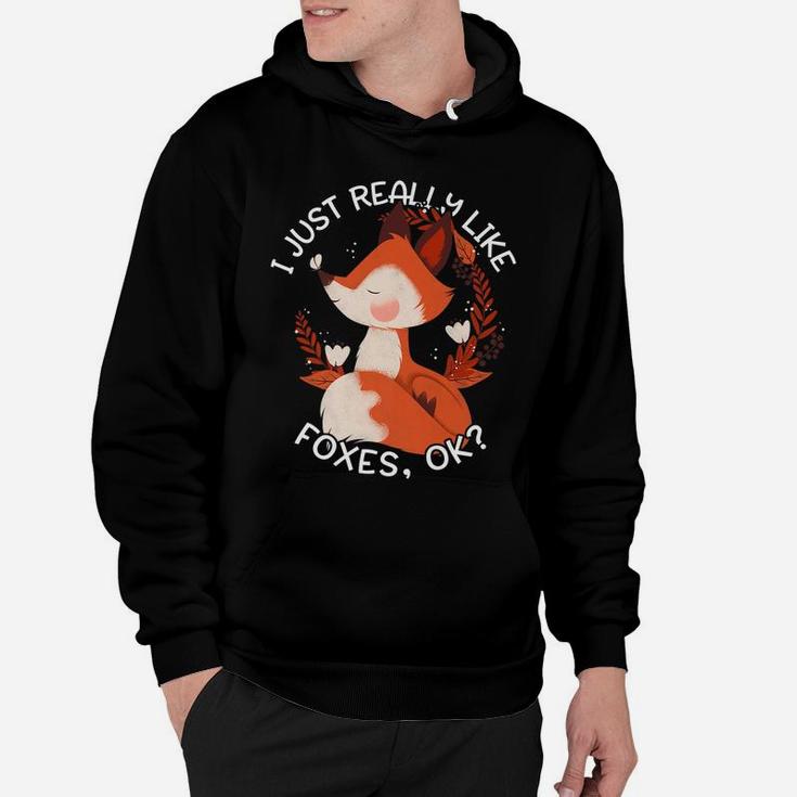 Fox Gift For Women Girls I Just Really Like Foxes Ok Hoodie